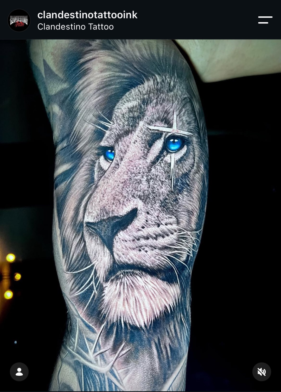Tatuagem cicatrizada 4