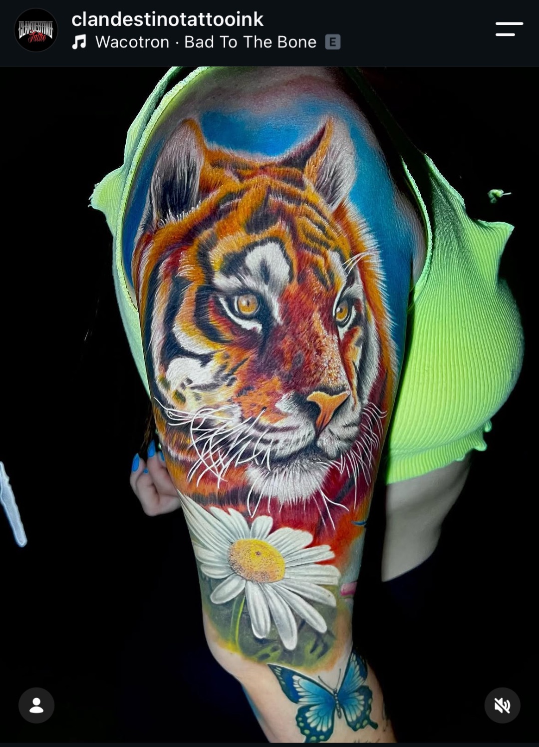 Tatuagem cicatrizada 5