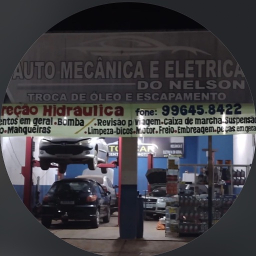 Logo de Nelson centro automotivo