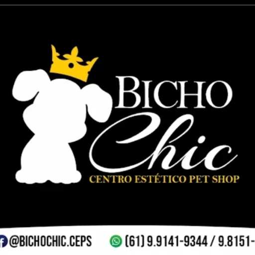 Logo de Bicho Chic